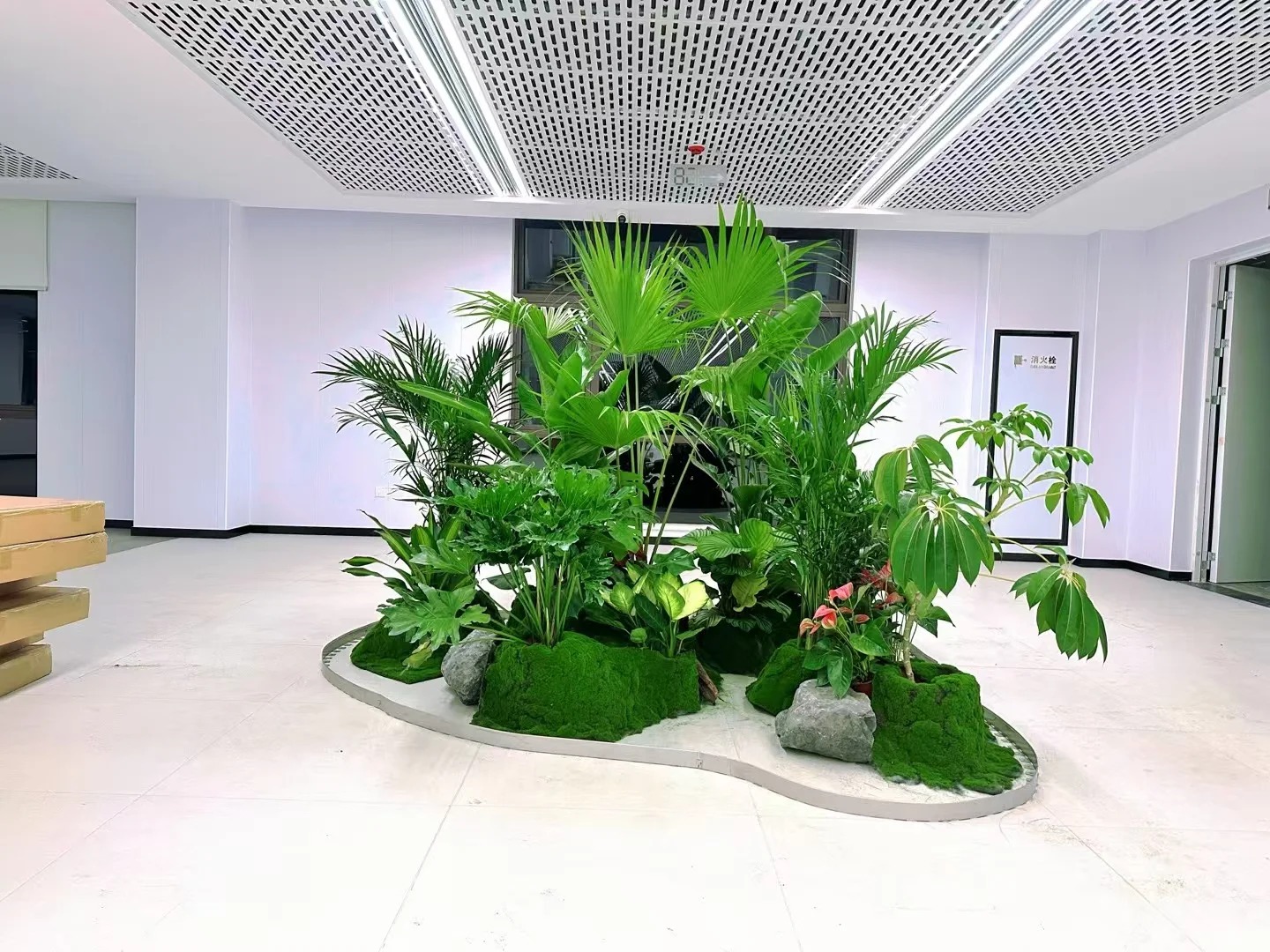 余姚花卉租摆价格揭秘，你知道怎样才能租得划算吗？