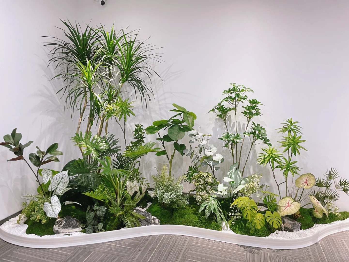 海曙花木租赁设计，为空间注入自然气息